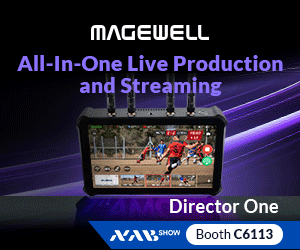 Magewell Pro-Convert IP-to-HDMI